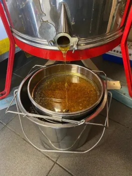Bijenstand bij Bezoekerscentrum Leudal geopend