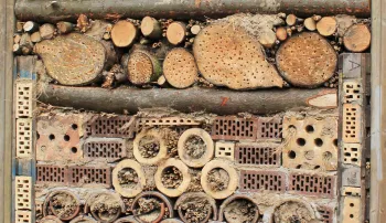 Jeugdactiviteit ‘Maak je eigen insectenhotel’