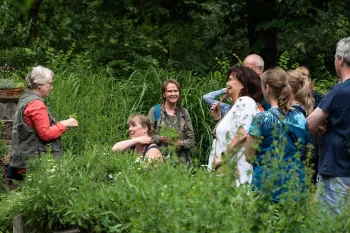 Kruidenwandeling in Nationaal Park De Groote Peel
