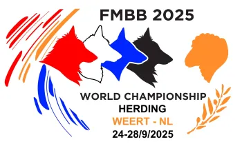 WK Schapen hoeden voor Belgische Herdershonden