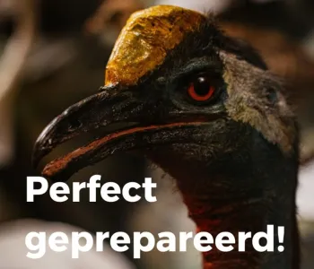 Tentoonstelling: Perfect geprepareerd!