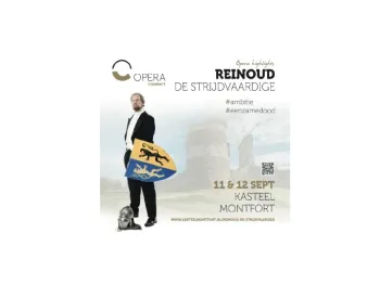 Reinoud de Strijdvaardige 