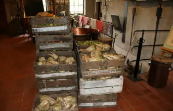 Stroopmakers in actie