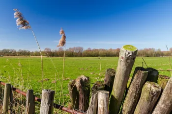 Landschapswandeling IVN Weert in de Roukespeel