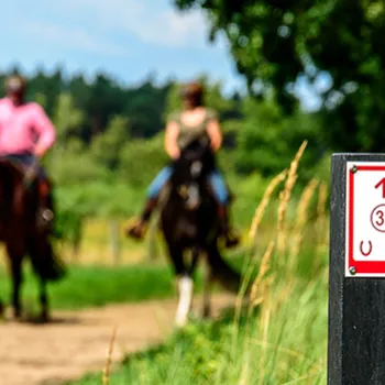 paardrijden in de Meinweg
