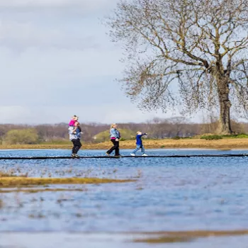 In Maaspark Noord-Limburg wandelen een paar mensen langs het water, met een grote boom in de achtergrond. De lucht is helder en blauw, en het landschap is rustig en open. Het water reflecteert het omringende gebied, wat een serene sfeer creëert.