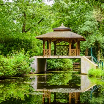 Bosgebied in de gemeente Roerdalen