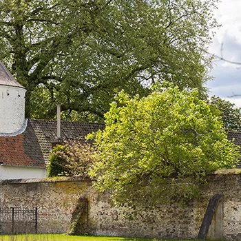 Activiteiten in Weert: Kasteelpark Nijenborgh