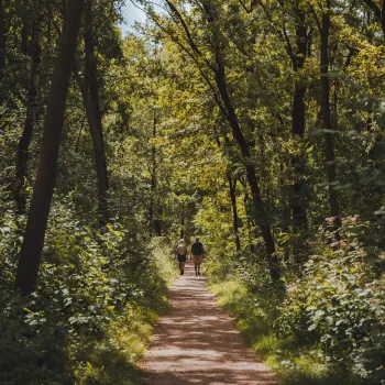 twee wandelaars in een zonnig groen bos