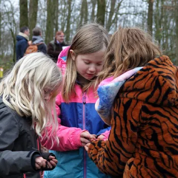 Drie kinderen bekijken iets kleins in hun handen tijdens een speurtocht in het bos.