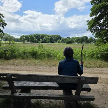 Persoon zit op een houten bank en kijkt uit over een groen landschap tijdens een wandeling Vlootbeekdal.