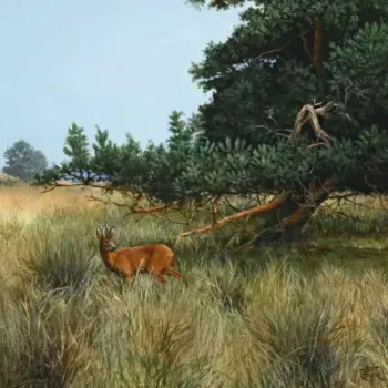 Schilderij van een ree dat tussen hoog gras staat, deels beschut onder een grote dennenboom, met een weids landschap op de achtergrond.