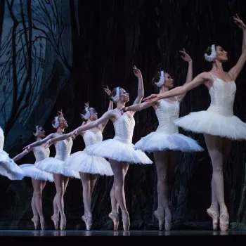 Ballerina's op een rij met hoofdrolspeelster hierbuiten, allen in witte tutu's alszijnde zwanen