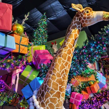 Vrolijke kerstsfeer met een grote pluchen giraf, kleurrijke cadeaus en versierde kerstbomen bij Tuincentrum Daniëls.