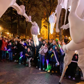 Lichtparade ROERMONDVOL licht