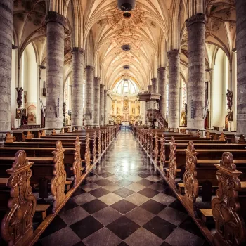 Interieur van de Sint-Martinuskerk in Weert met zuilen, gewelven en houten kerkbanken te bezoeken tijdens Open Monumentendag Weert