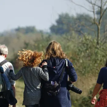Groep wandelaars onderweg door een groen natuurgebied tijdens de Peeltocht in NP De Groote Peel.