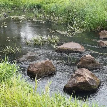 Stiltewandeling Leudal