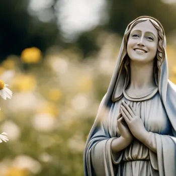 Promotiebeeld voor Maria Leeft: glimlachend Mariabeeld met gevouwen handen in een veld vol margrieten, in warm zonlicht.