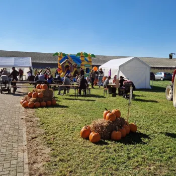 Bezoekers op het activiteitenveld tijdens de Pompoen Plukdagen bij Tuinbouwbedrijf Bonten, met pompoenen, tenten, een springkussen en een tractor.