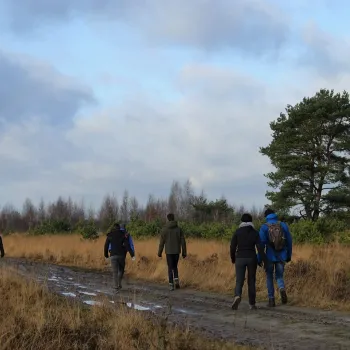 Deelnemers lopen tijdens de Turfstekerstocht over een modderig pad door open heide en grasland in Nationaal Park De Groote Peel.