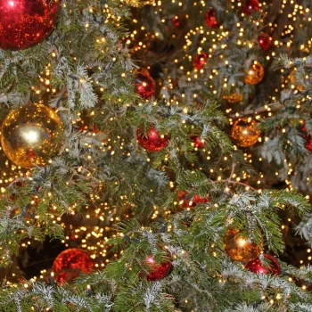 kerstballen die in een boom hangen met lichtjes