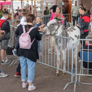 Bezoekers, waaronder kinderen, aaien een ezel bij een kleine kinderboerderij tijdens de Aezelemert Montfort, omringd door hekken en kraampjes.
