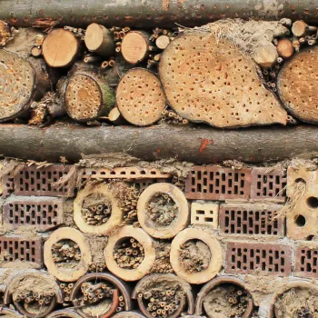 close-up van een insectenhotel