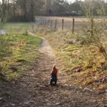 Pad door de natuur met een kabouterbeeldje tijdens een speelse fotozoektocht voor jeugd in een groen landschap.